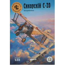 Сикорский С-20 – истребитель России и Советской России