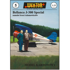 Bellanca J - 300 «Special» – рекордный самолет